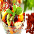 Getrocknete chinesische Ningxia-getrocknete Frucht Goji-Beere getrockneter Fructus Lycii